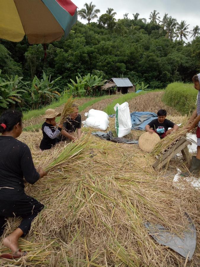 Babahan Farmstay Selemadeg Kültér fotó