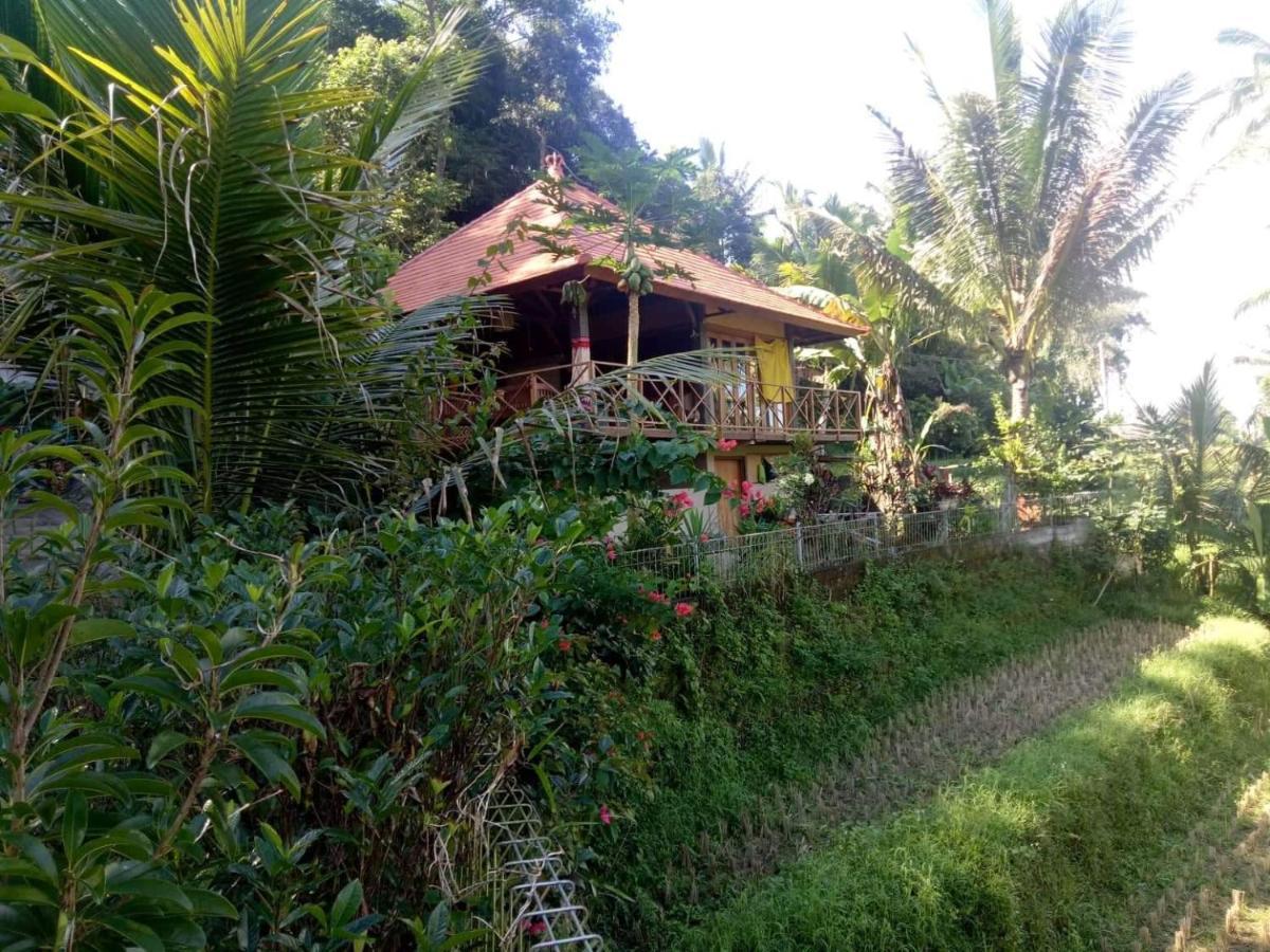 Babahan Farmstay Selemadeg Kültér fotó